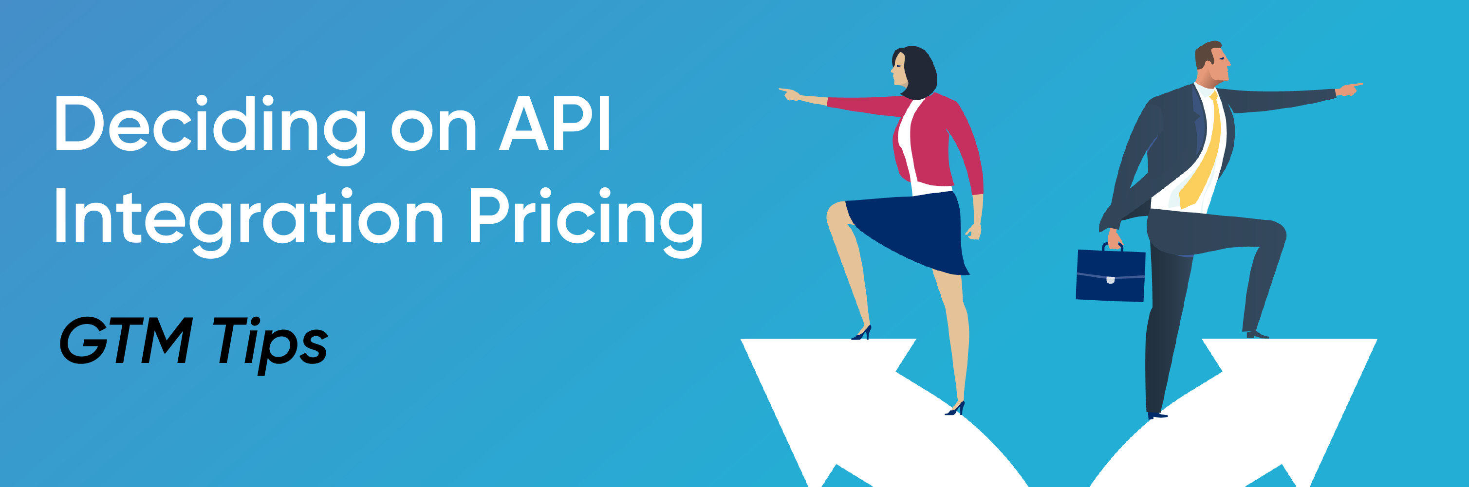 API integration pricing