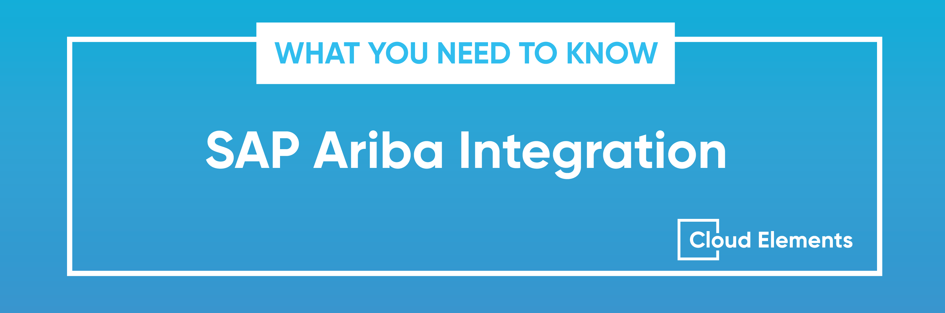 sap ariba integration