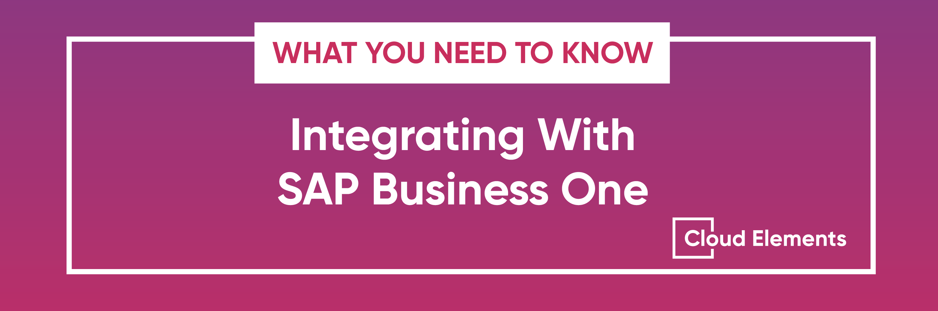 SAP Business One API